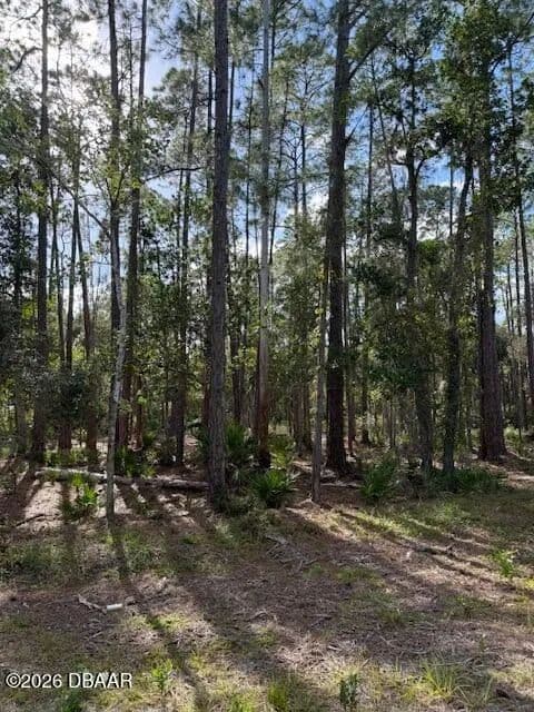 1.01 Acres of Land for Sale in Georgetown, Florida - Georgetown, Florida, 32139