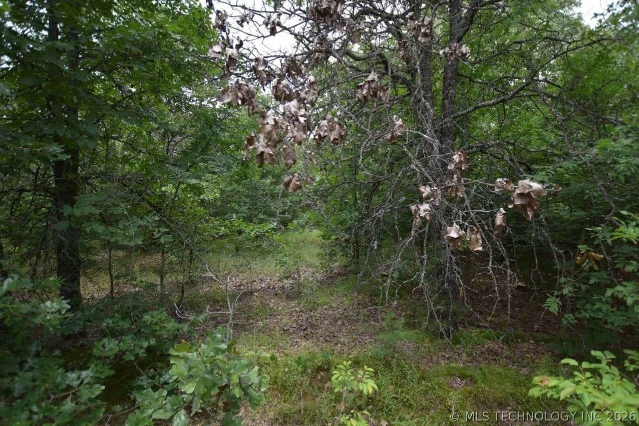 Property from 4 Darcy Drive - KW - Vian, Oklahoma, 74962