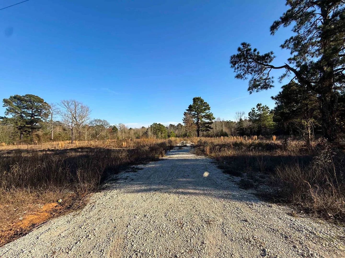 Vacant Land in Marietta - Marietta, Texas, 75566