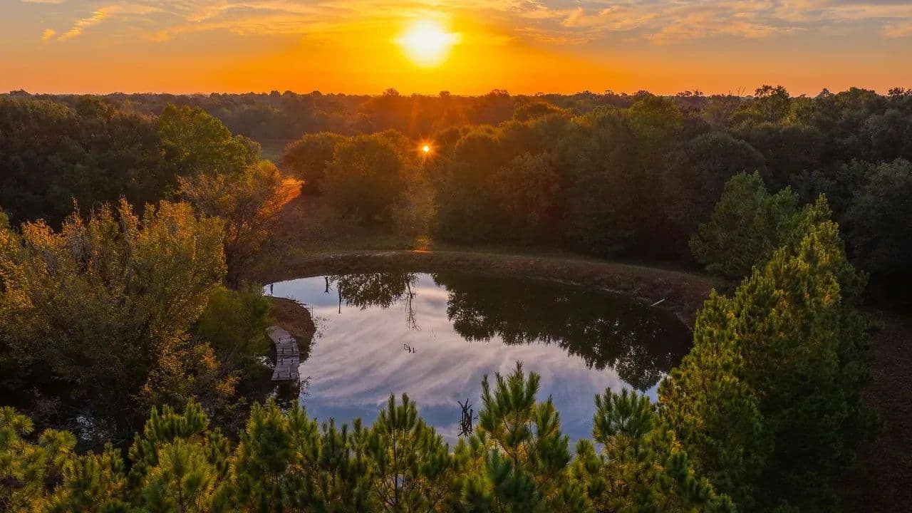 Heritage Oaks Ranch - 103 Acres Premier Deer and Duck Hunting Lamar County - Powderly, Texas, 75473