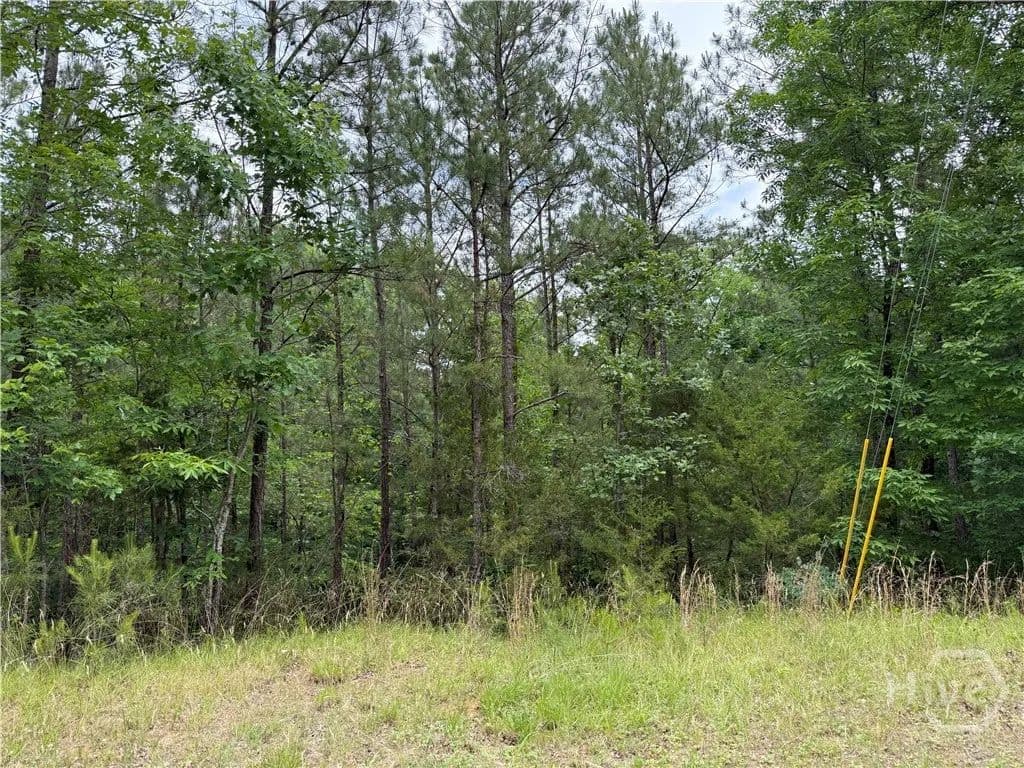 Vacant Land in Elberton - land for sale