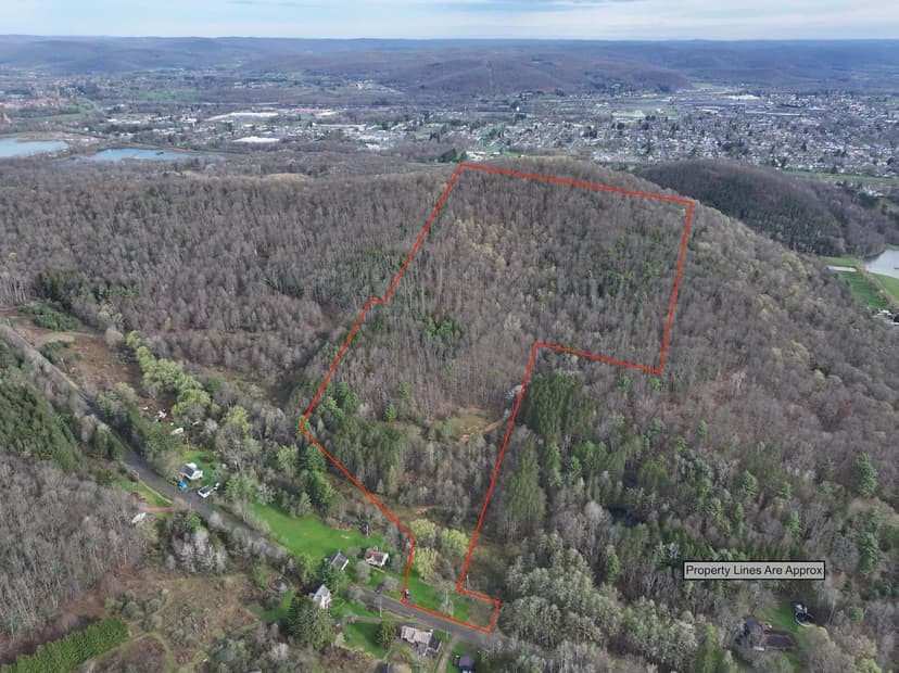 42.5 acres Hunting Land and Recreational Land with Building Site in Olean NY McCann Hollow Rd