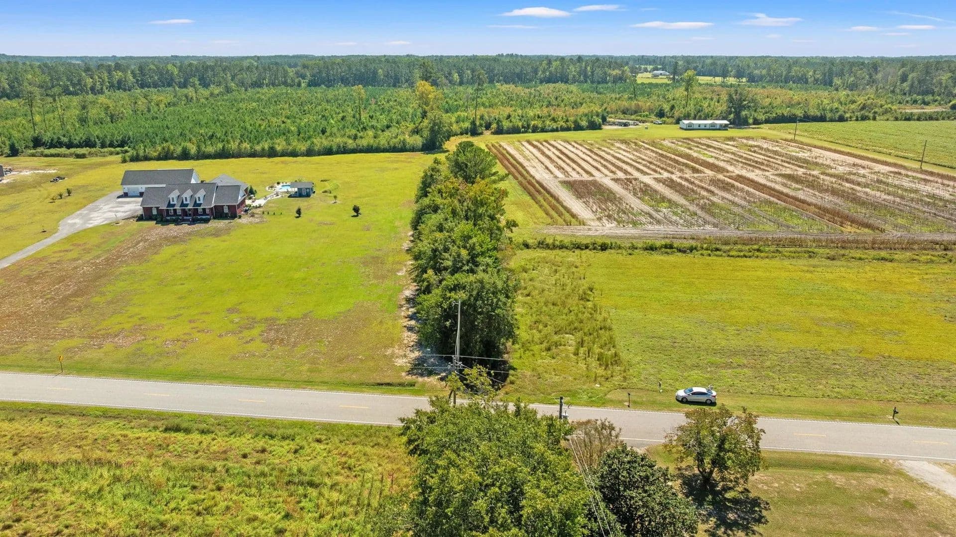 Vacant Land in Galivants Ferry - Galivants Ferry, South Carolina, 29544