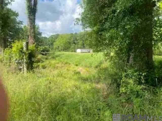 Land -Agricultural (Not Zoned) in Pride - Pride, Louisiana, 70770