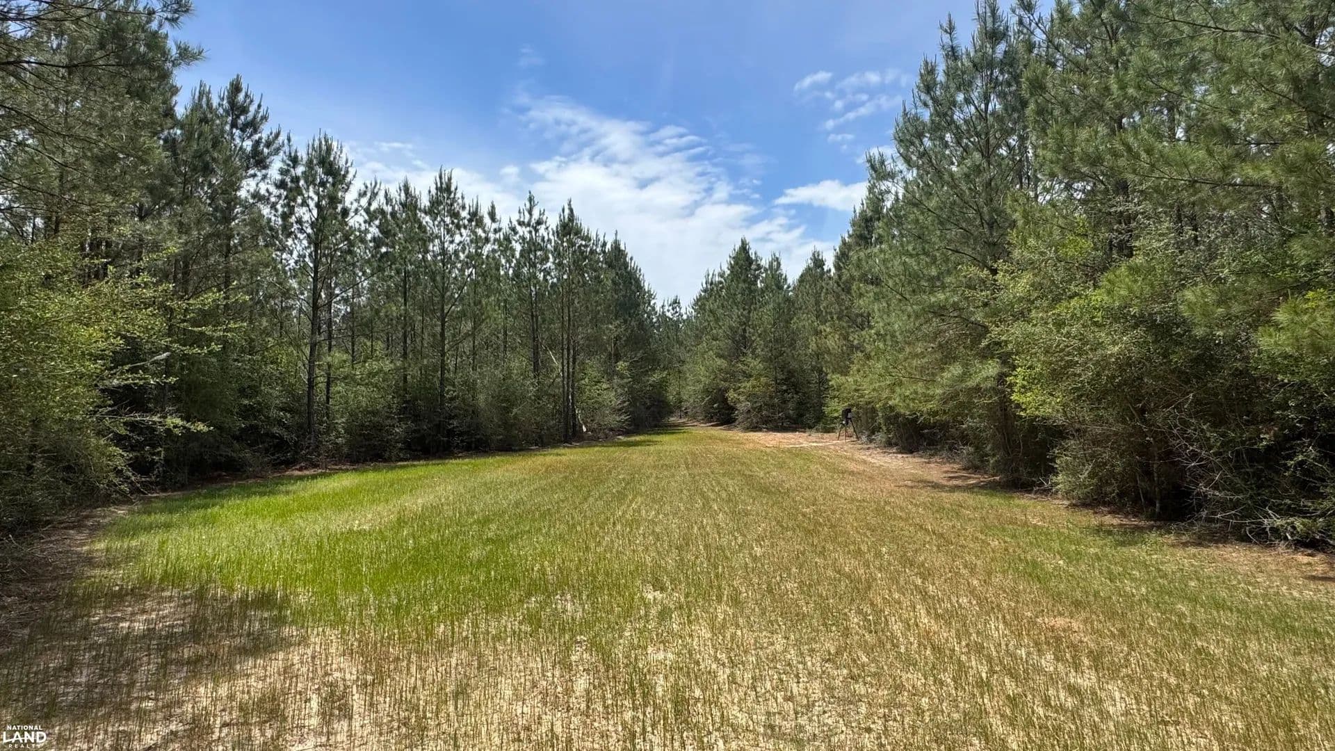 Agricola Development & Timber Tract - Lucedale, Mississippi, 39452