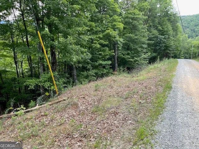 Lots & Land-Other in Ellijay - Ellijay, Georgia, 30540