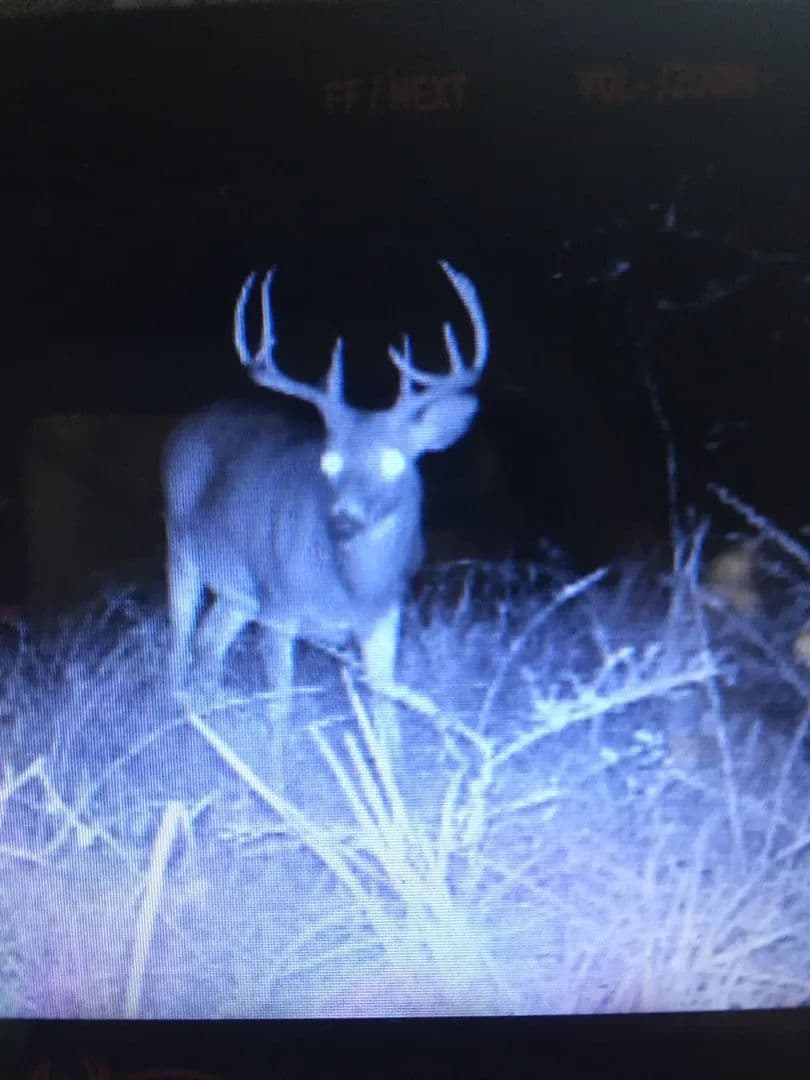 134+/- Hunting Tract in Perry County