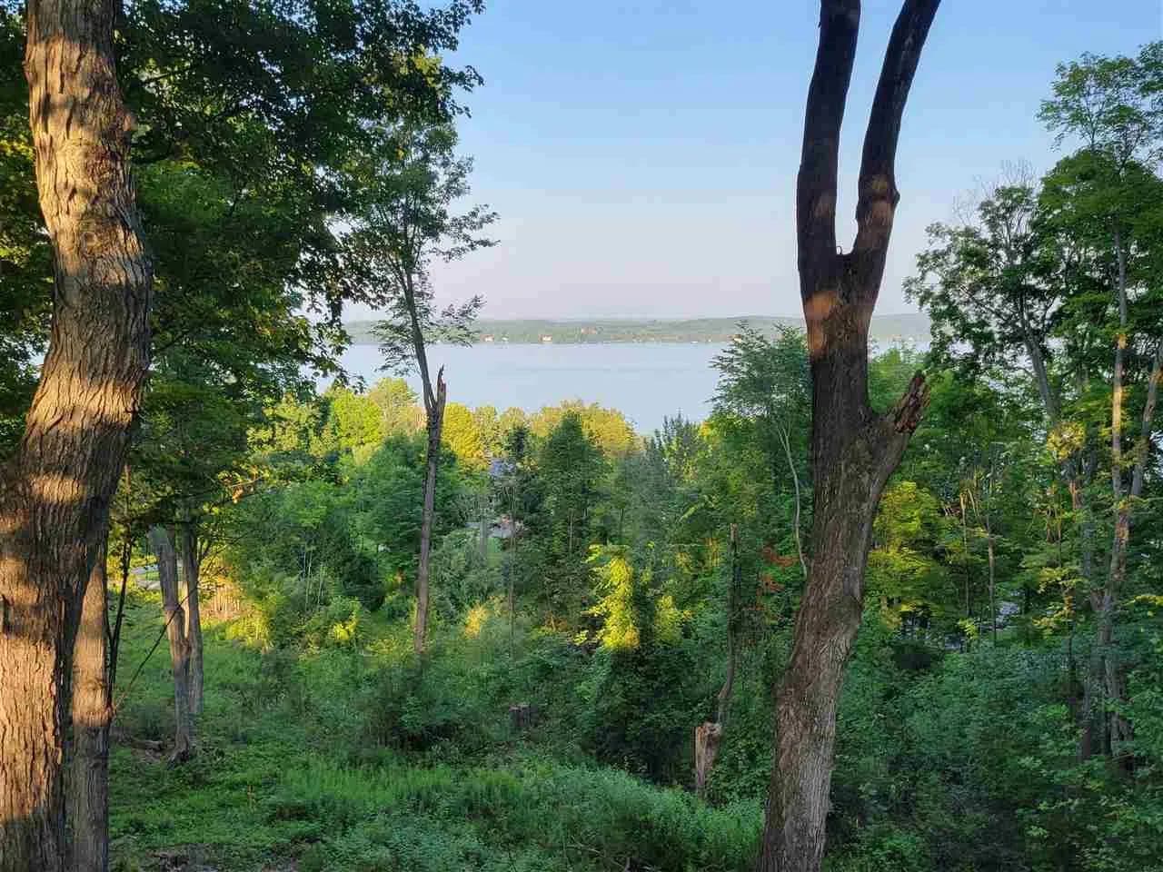 Property from Lot 6 Torch Hills Lane - KW - , Michigan, 49676