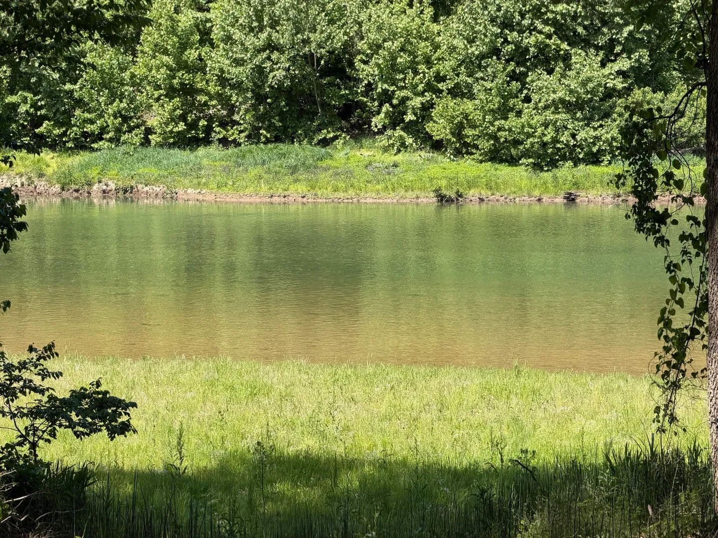 Property from 000 County Road 318 #Lot 6 - KW - Sycamore, Missouri, 65760