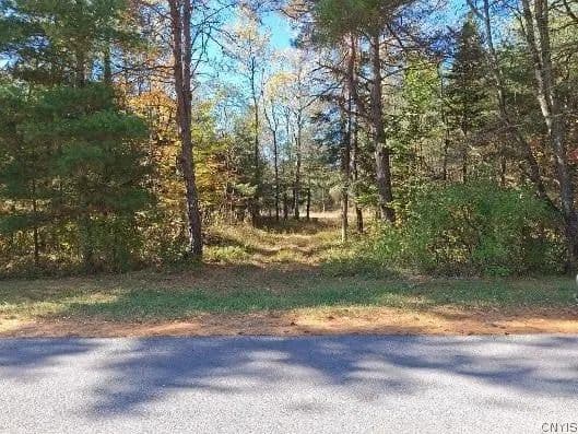 Lots & Land-Other in Forestport - Forestport, New York, 13338