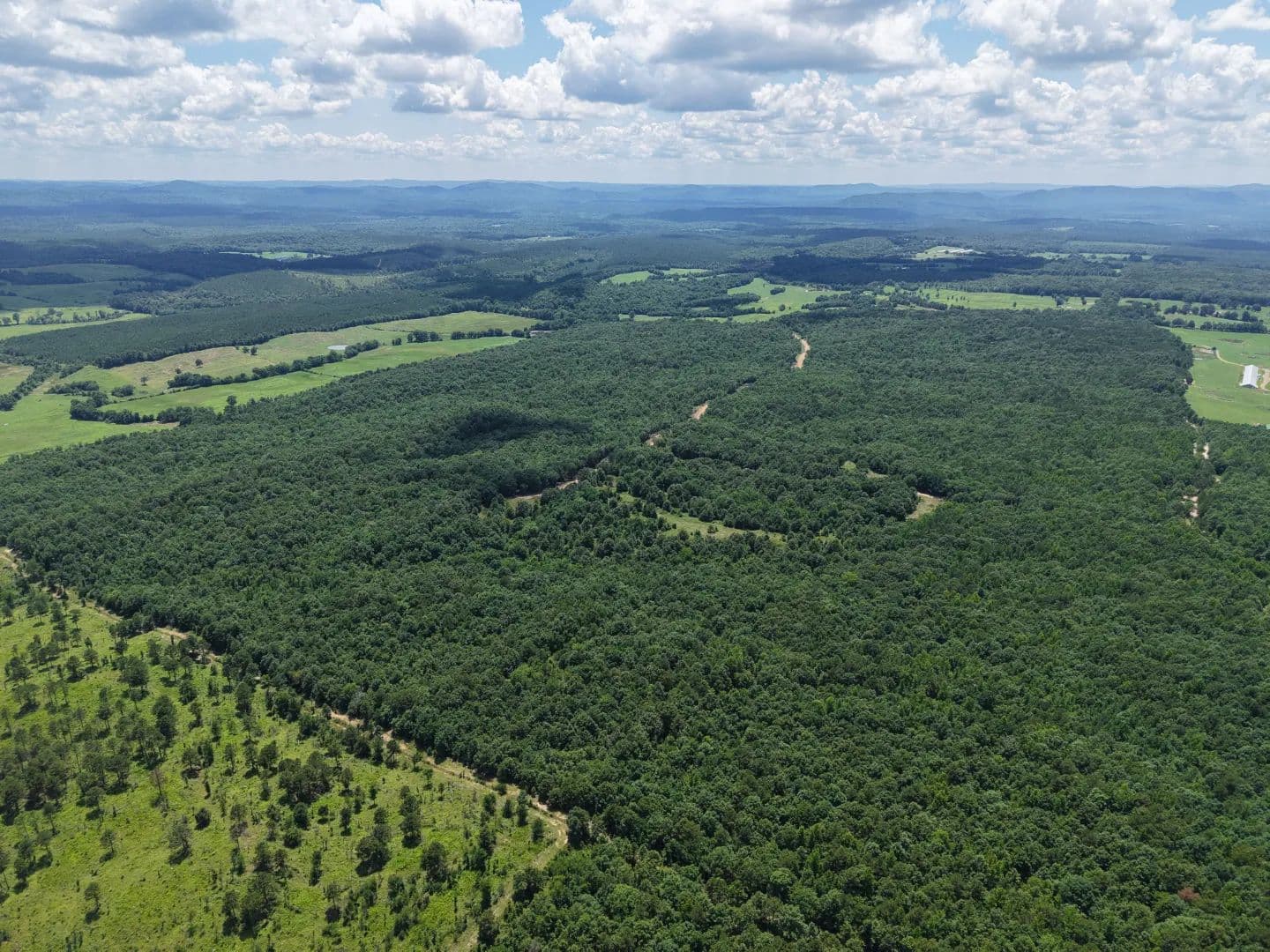 32.06 Acres [Tract 8] in McCurtain County, OK - Smithville, Oklahoma, 74957