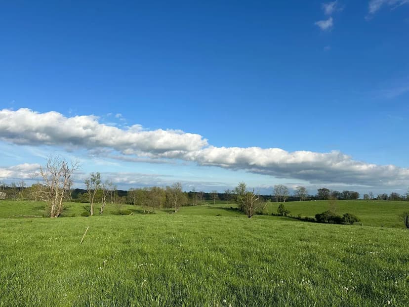 Property from 3451 Cynthiana Road - KW