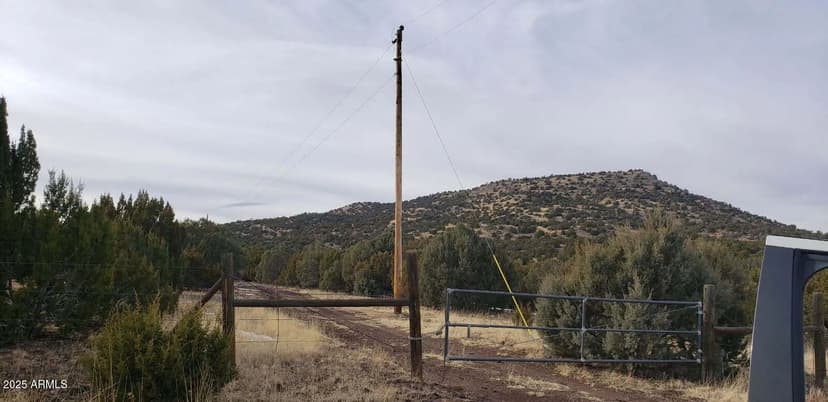 Vacant Land in Concho