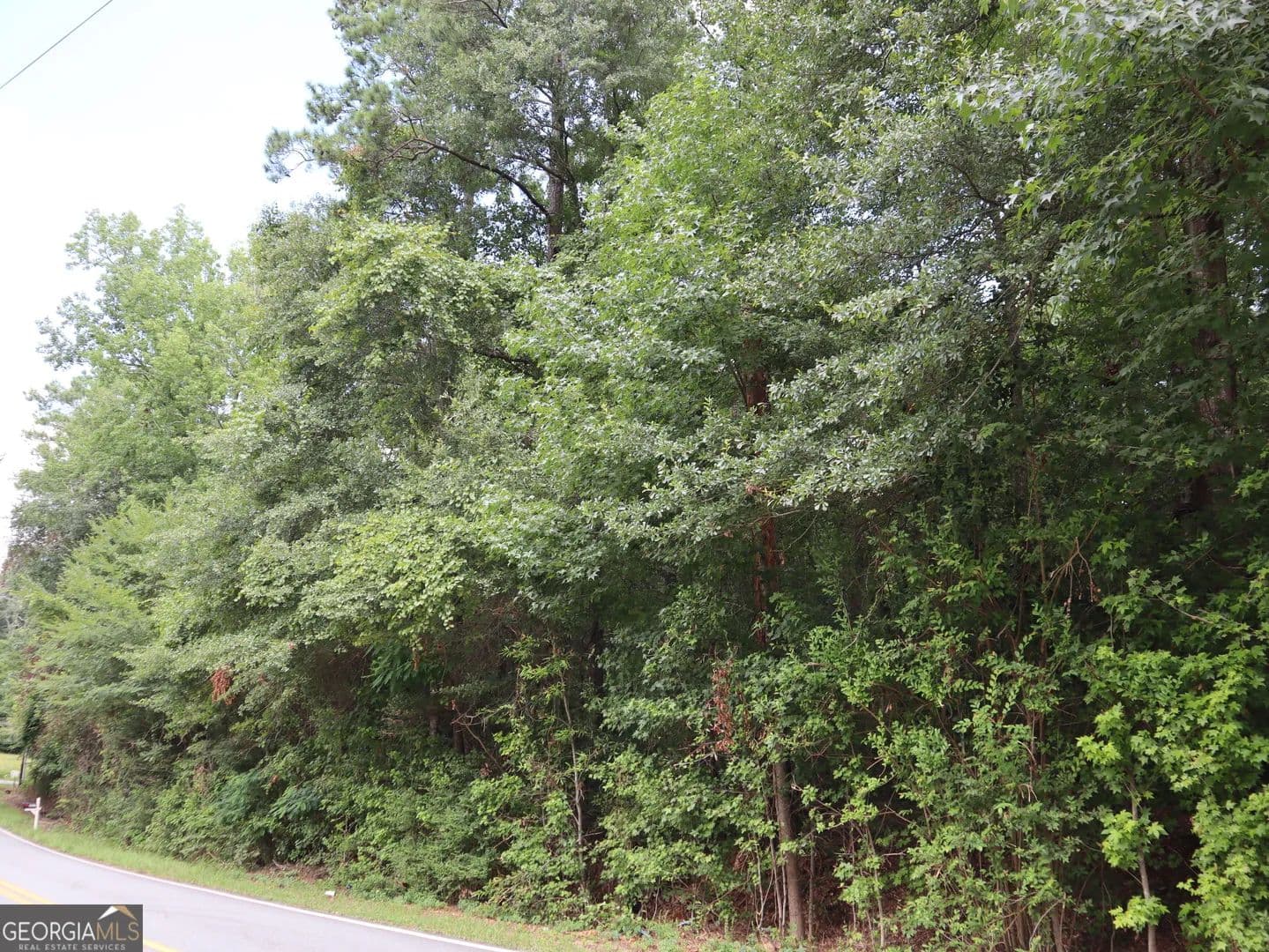 Vacant Land in Macon - Macon, Georgia, 31216