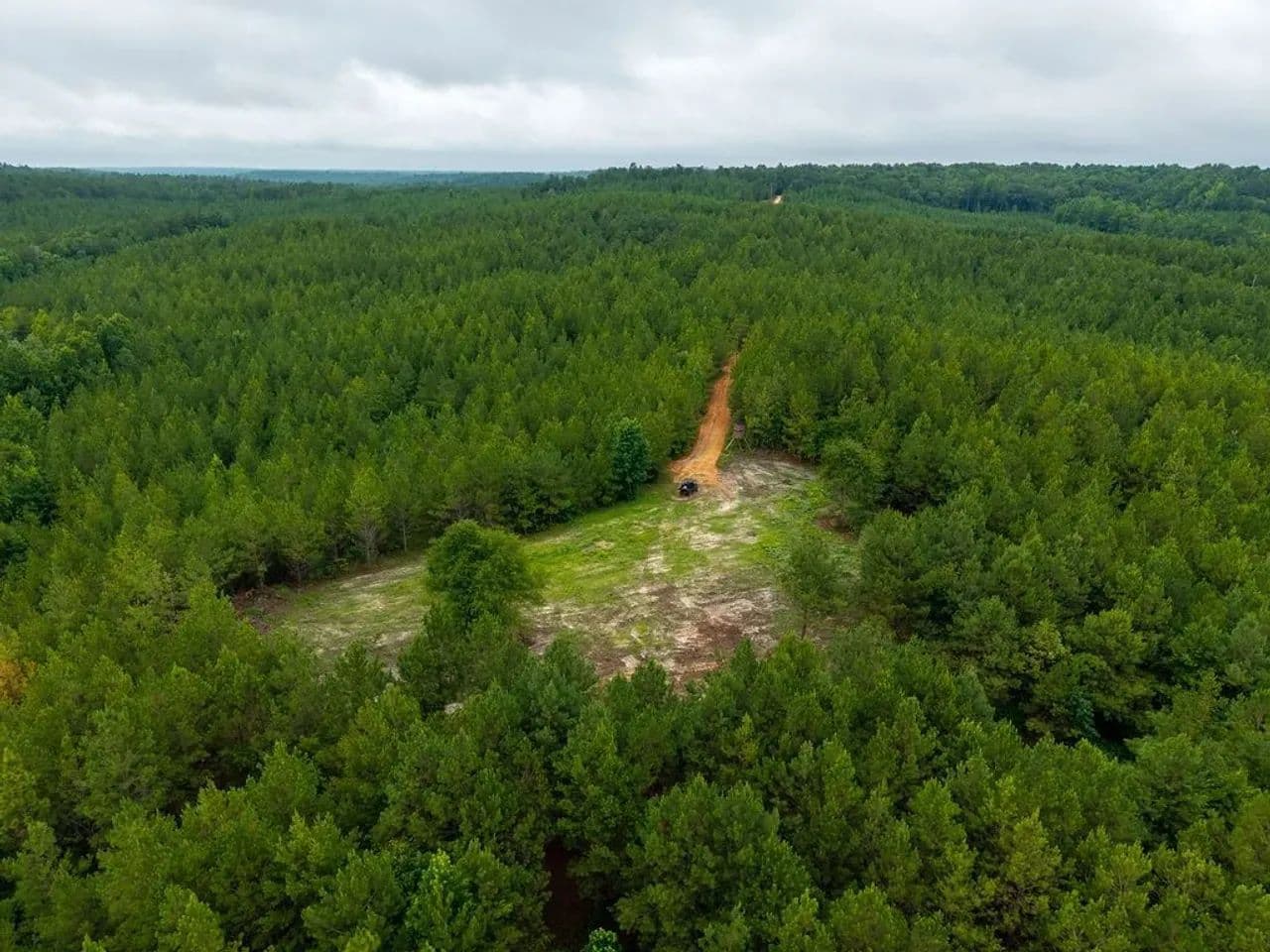 Lightwood 2- 116 acres potential homesite and hunting property in Chilton County - Verbena, Alabama, 36000