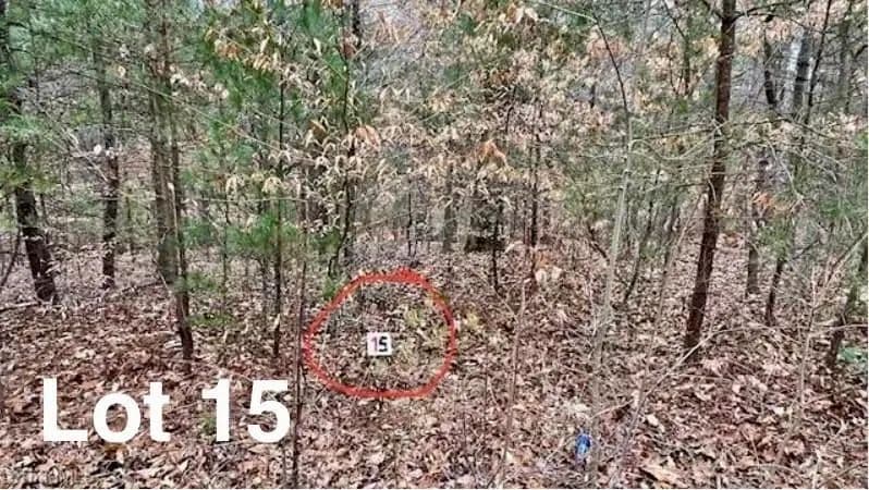 Vacant Land in Stuart - Stuart, Virginia, 24171