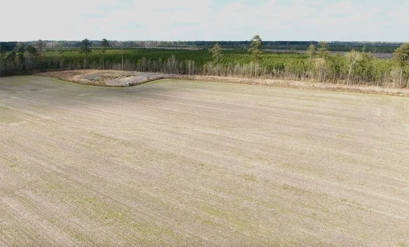 UNDER CONTRACT!!  80.59 acres of farm and  timber land in Gates County NC!