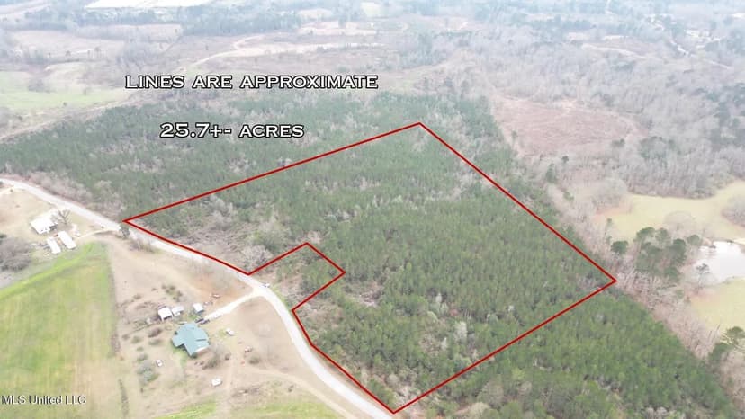 25.7 Acres for Sale in Smith County, Mississippi