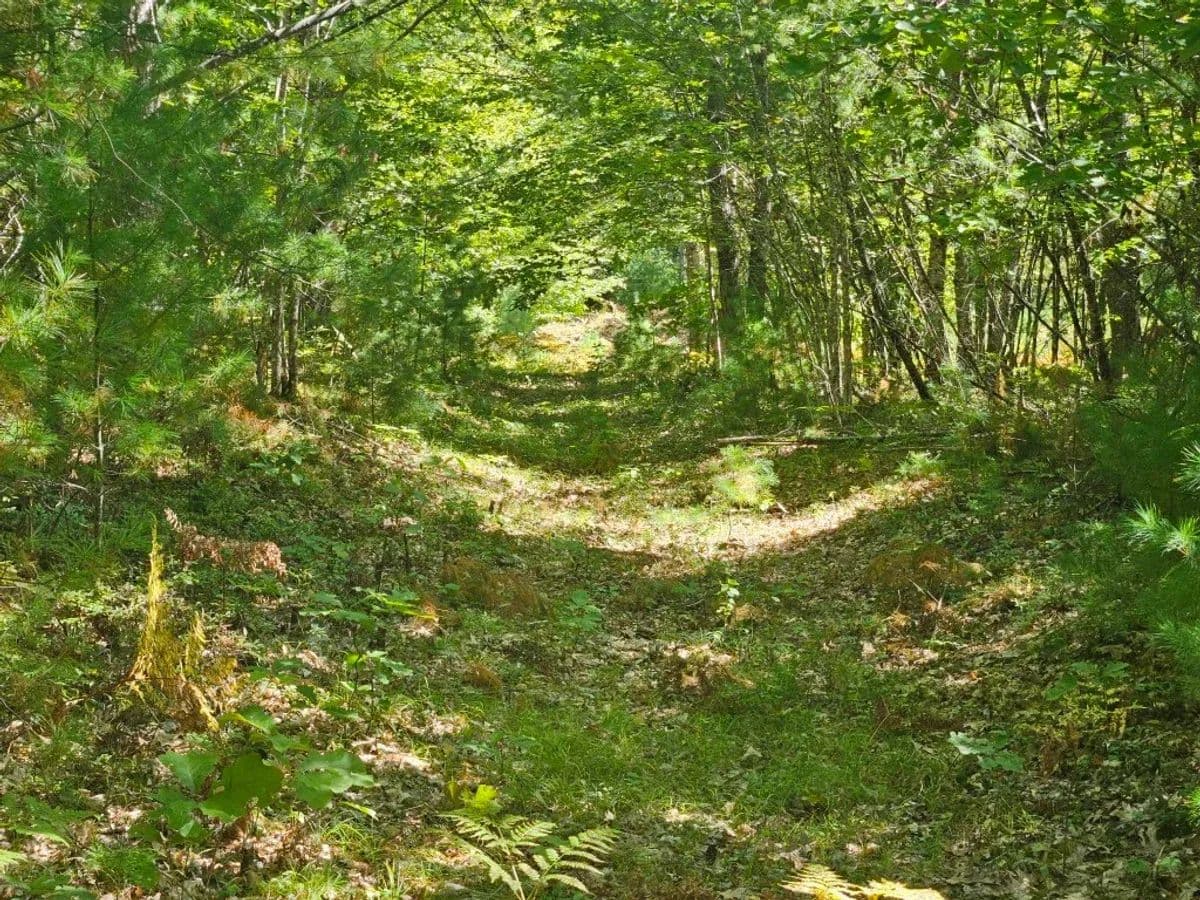 Standish, Lot 9 Pequawket Trail - 14.78 acres - Standish, Maine, 04084