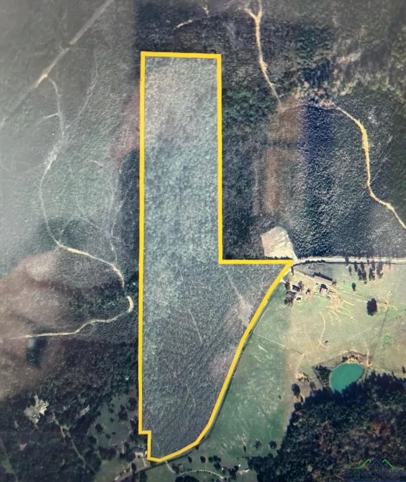 Lots & Land-Other in Harleton