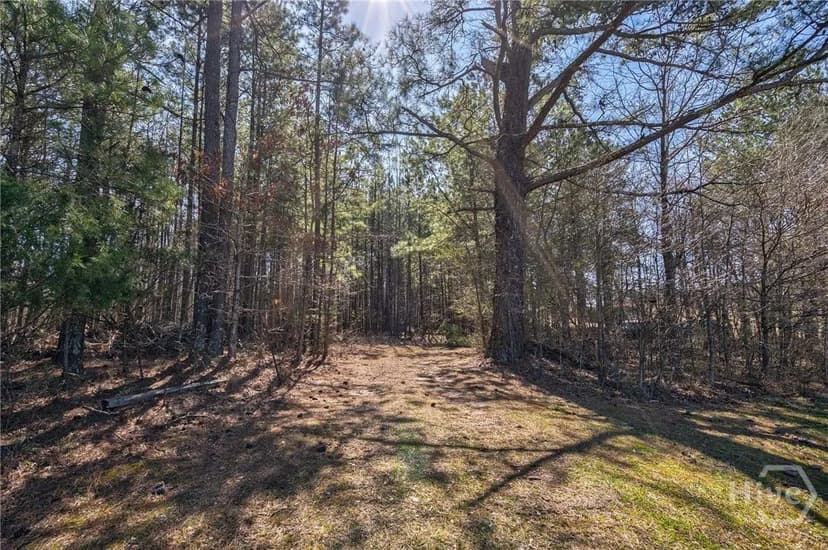 Vacant Land in Loganville