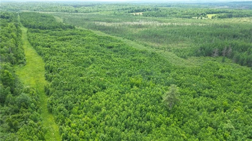 Lots & Land-Other in Radisson