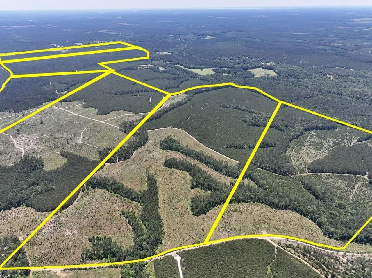 133 Acres | Union Springs Road | T-1 | 3078 - Corrigan, Texas, 75939