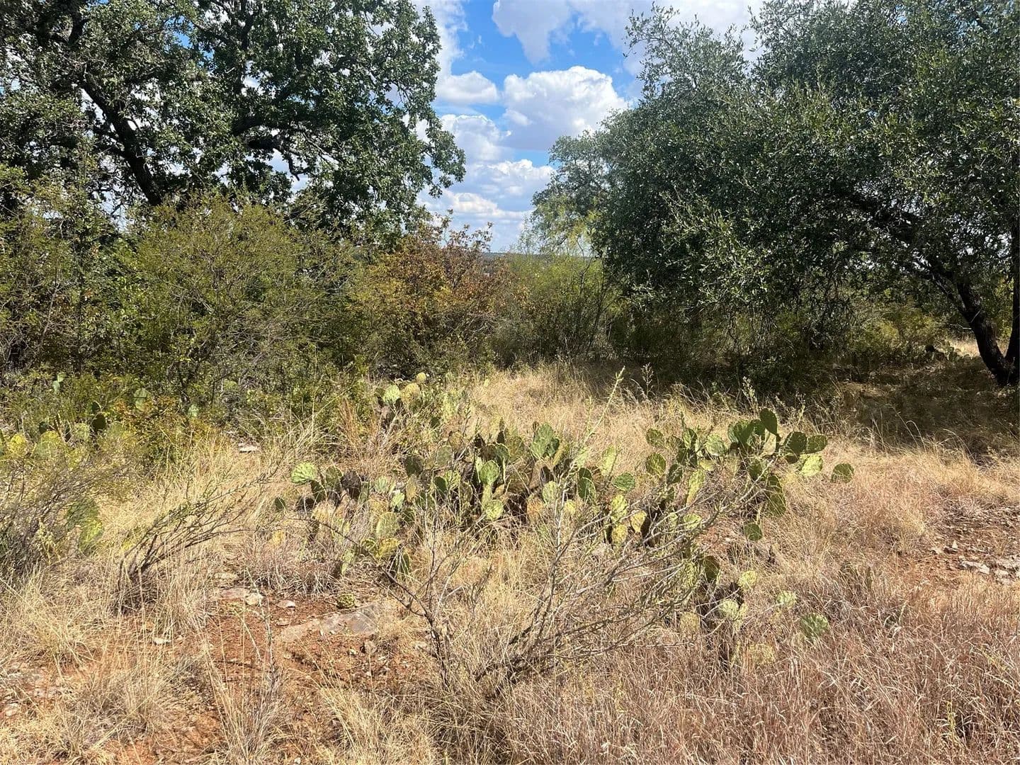 0.46 Acres of Land for Sale in Brownwood, TX - Brownwood, Texas, 76801