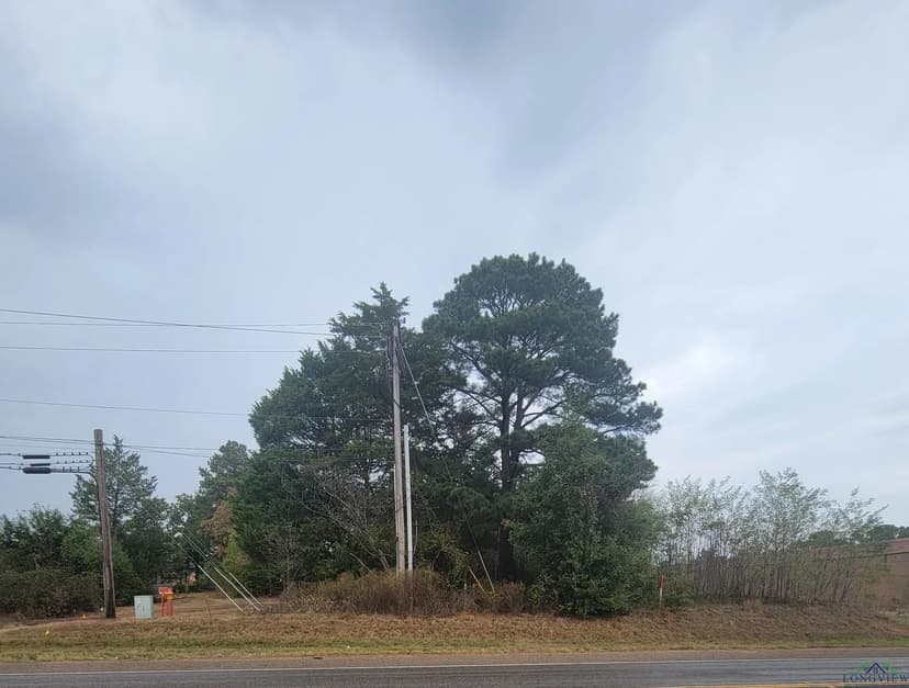 Vacant Land in Kilgore