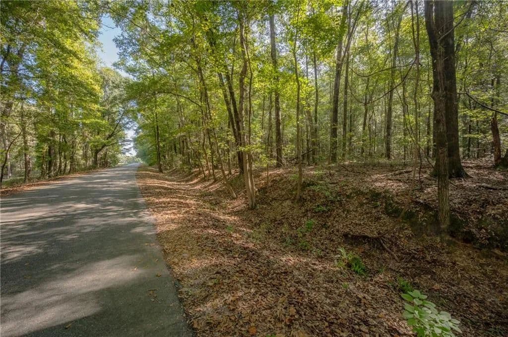 5.51 Acres of Land for Sale in Pittsview, AL - Pittsview, Alabama, 36871