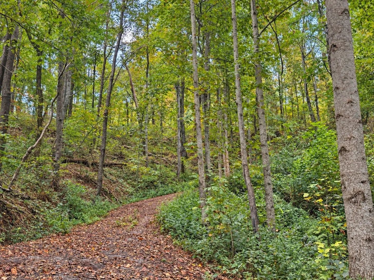 Lots & Land-Other in Lancaster - Lancaster, Tennessee, 38569