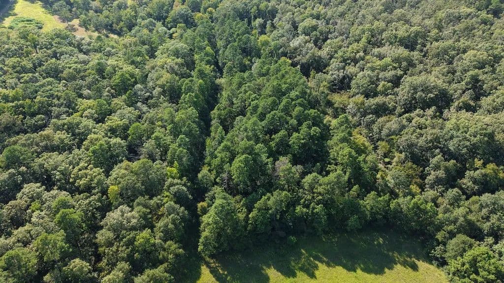 9.86 Acres in Polk County, AR  - Mena, Arkansas, 71953