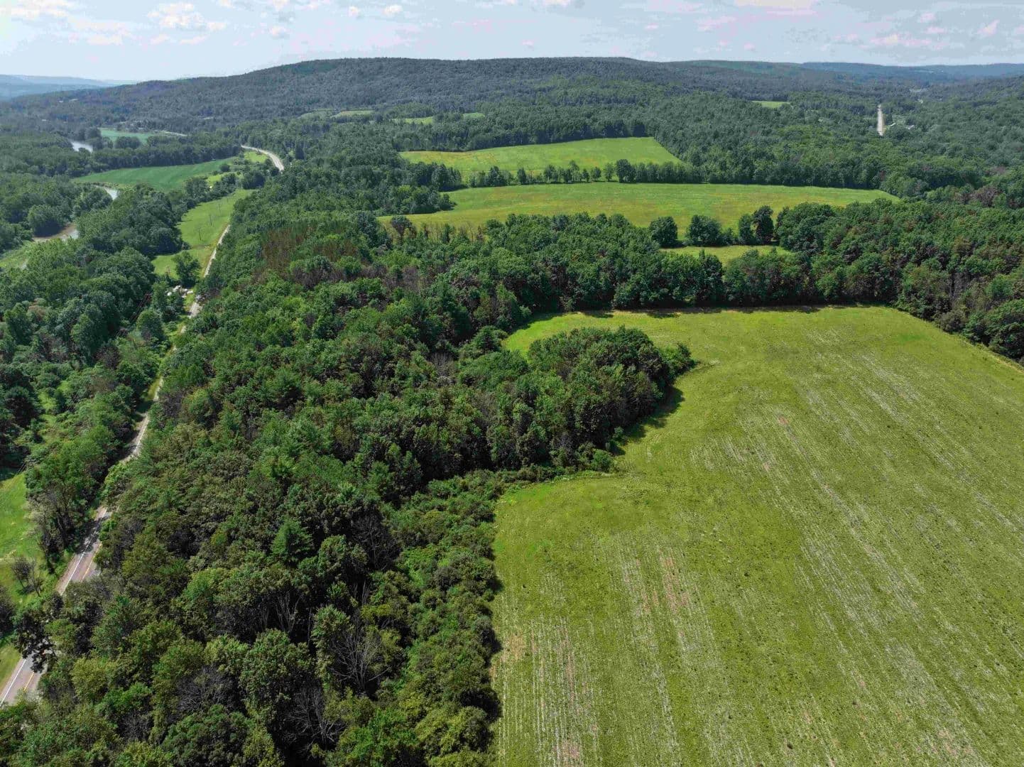 13.85 acre Building Lot and Recreational Land with Owner Financing in Belfast NY CR 17 Lot 6 - Belfast, New York, 14711