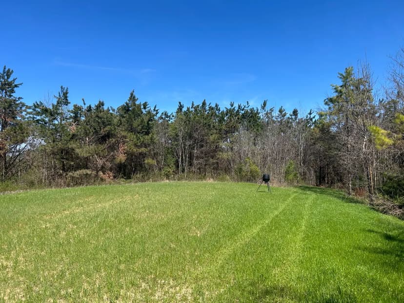 208 Acres in Union County, MS 