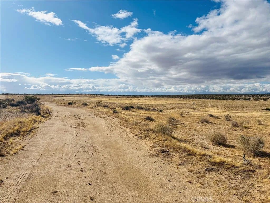Vacant Land in California City - California City, California, 93505