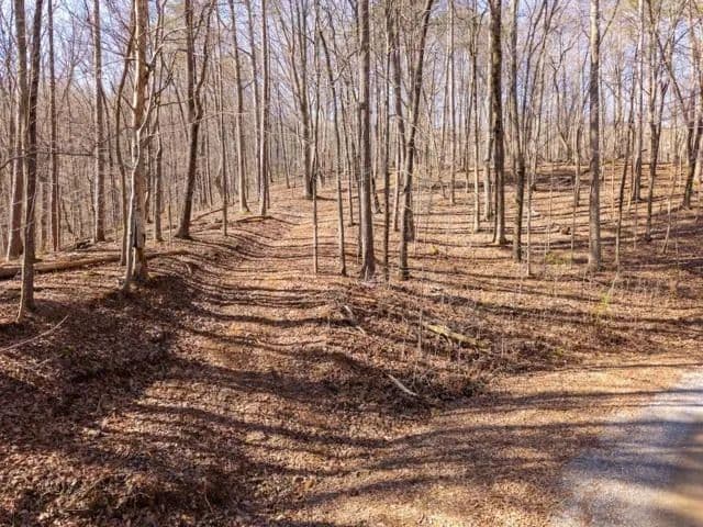 Lots & Land-Other in Ranger