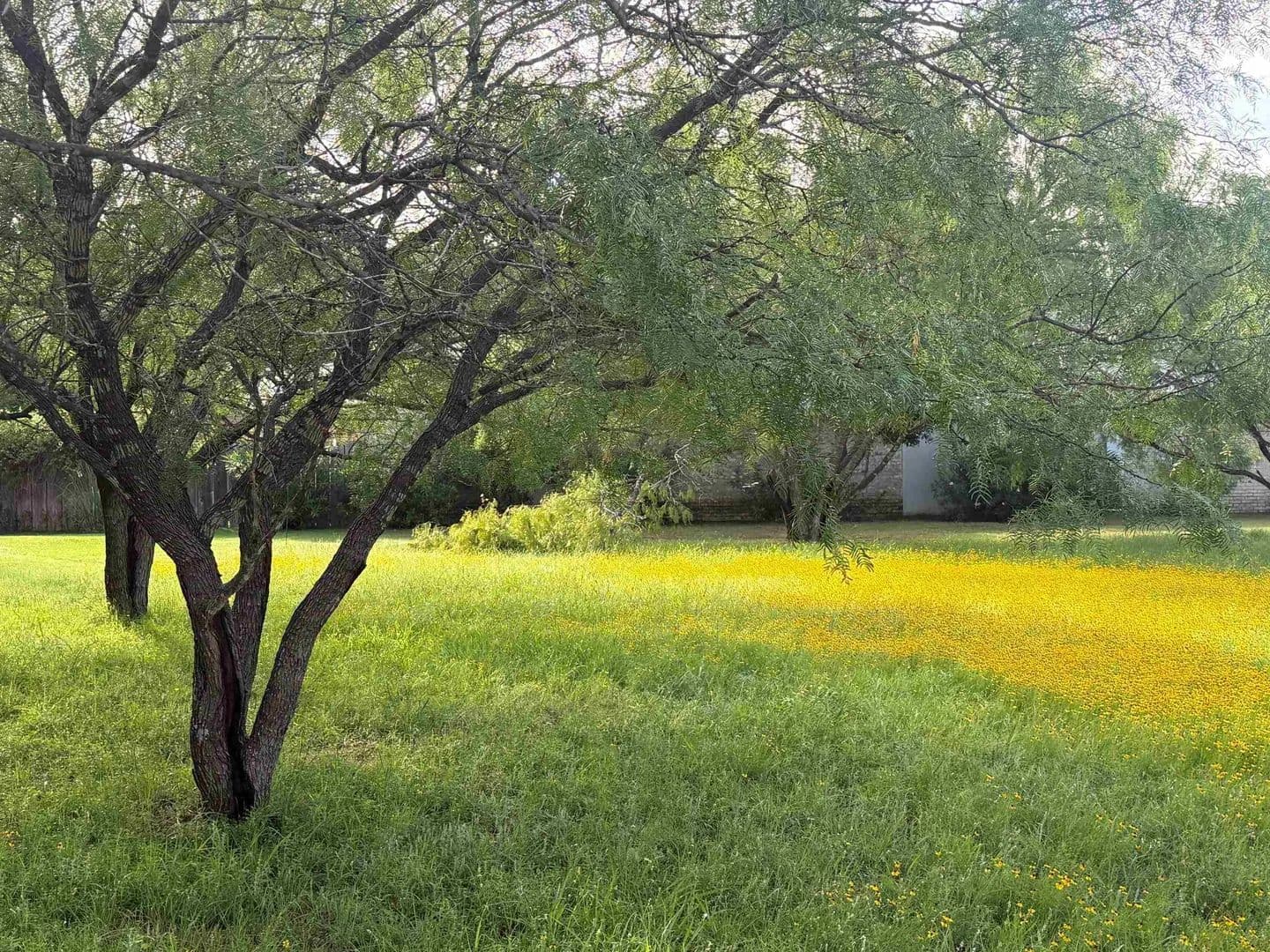 0.11 Acres of Land for Sale in Horseshoe Bay, Texas - Horseshoe Bay, Texas, 78657