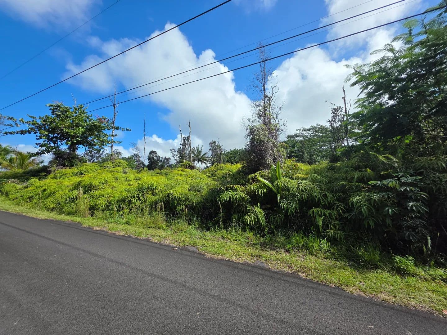 Vacant Land in Keaau - Keaau, Hawaii, 96749