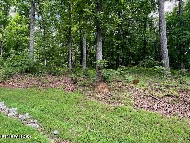 Lots & Land-Other in Rockwood - Rockwood, Tennessee, 37854
