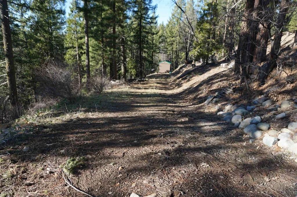 Vacant Land in Quincy - Quincy, California, 95971