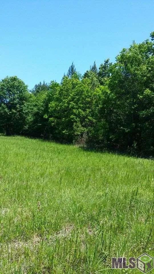 Property from Tract 3 KING GEORGE BAY RD - KW