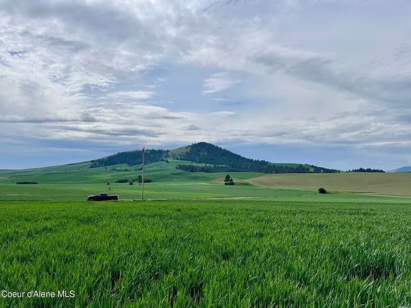 Property from 783 Lot D Old Mills Rd - KW