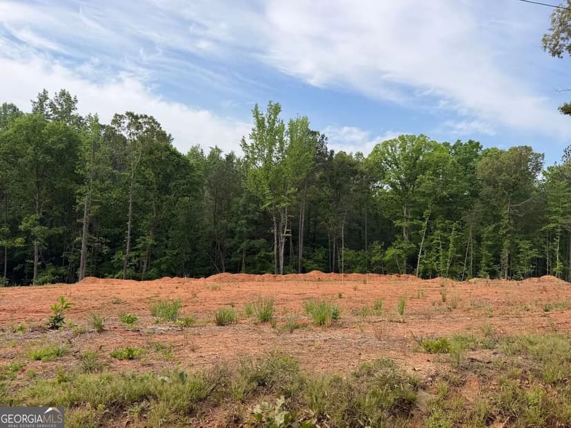 Lots & Land-Other in Forsyth