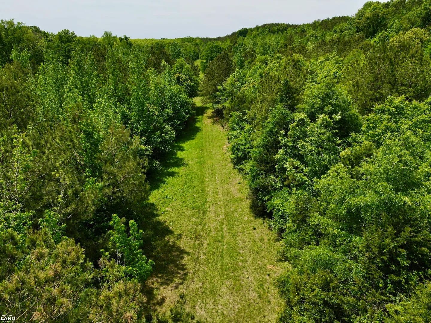 Luxapillila Creek Hunting and Timber Tract - Millport, Alabama, 35576