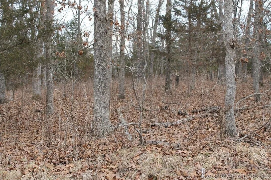 Lots & Land-Other in Edwards - Edwards, Missouri, 65326