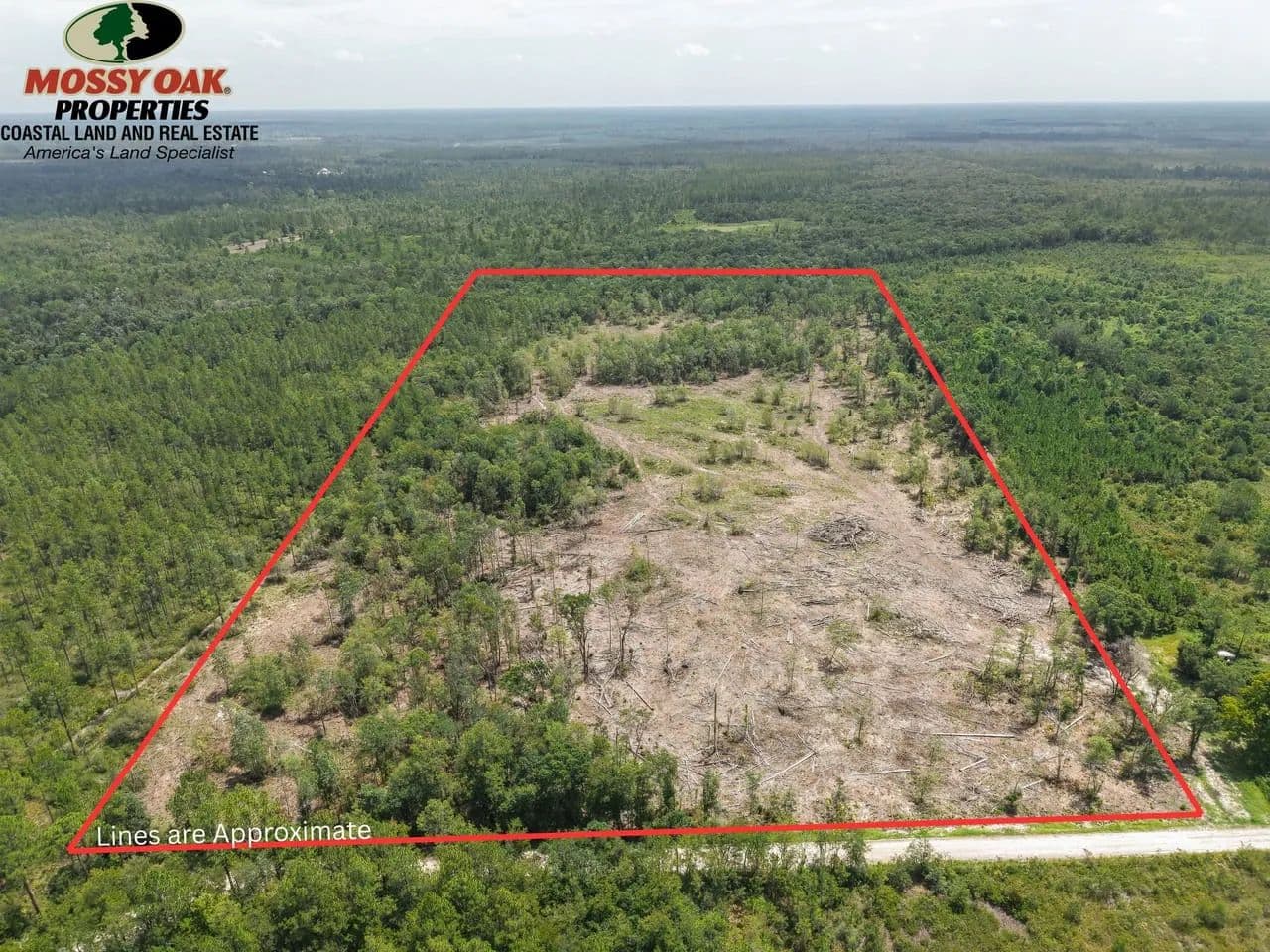 35 +/- Acres For Sale Ware County GA - Manor, Georgia, 31550