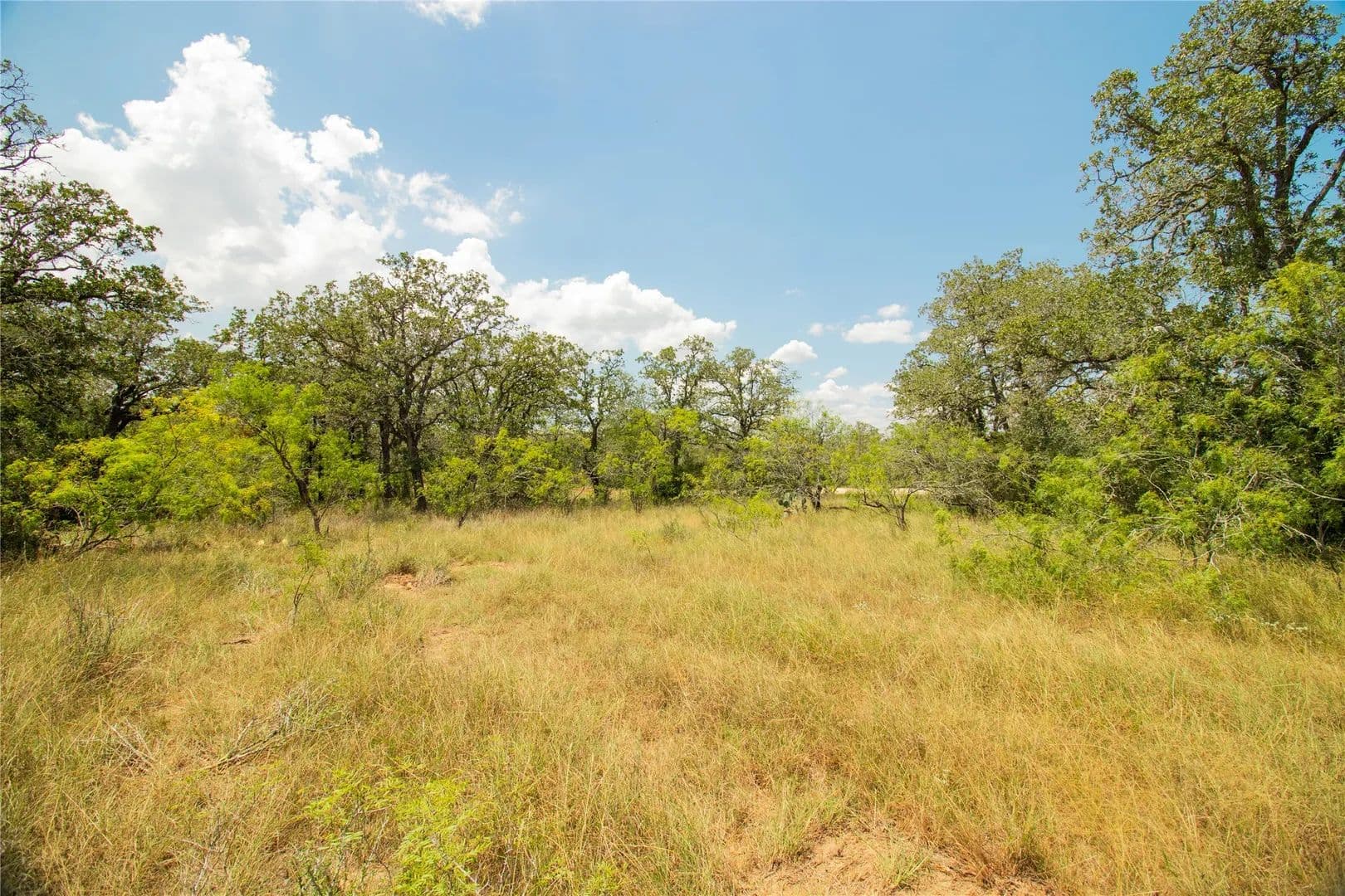 Property from 9057 Sycamore Shade Lane - KW - Kingsbury, Texas, 78155