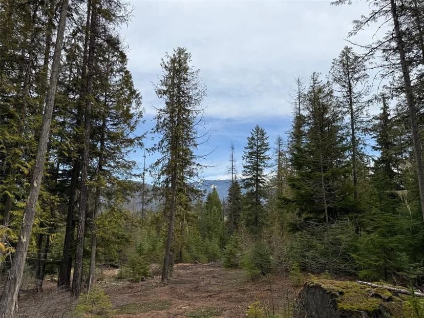 Vacant Land in Noxon