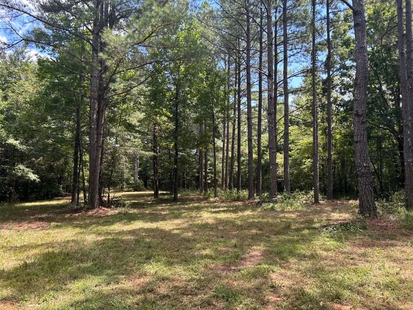 262.37 Acres in Benton County, MS