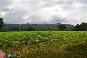 Vacant Land in Traphill